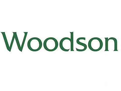 Логотип Woodson Лого Woodson на сайте интернет-магазина Печной Эксперт